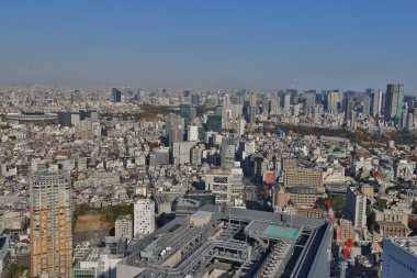 29 Kasım 2023 Tokyo, Japonya 'da panoramik şehir manzarası