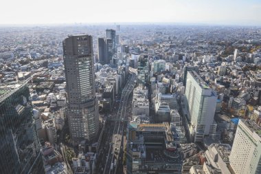 29 Kasım 2023 Tokyo 'nun hava görüntüsü, mavi gökyüzü ve güzel