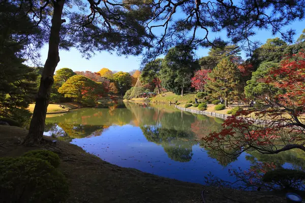 29 Kasım 2023 güzel bir Japon bahçesi, Rikugi en Gardens