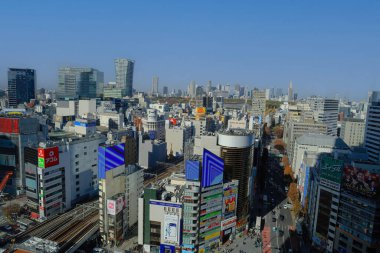 29 Kasım 2023 Shibuya 'daki Tokyo binalarının panoramik görüntüsü.