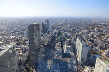 Tokyo 'nun silueti Shibuya Sky, Tokyo, Japonya 29 Kasım 2023