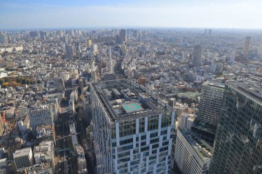 Tokyo 'nun silueti Shibuya Sky, Tokyo, Japonya 29 Kasım 2023