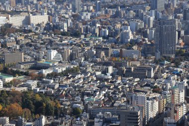 29 Kasım 2023 Ebisu ve Shibuya, Tokyo, Japonya 'daki iş merkezi.