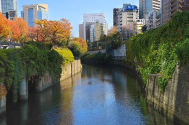 29 Kasım 2023 Kanda Nehri, Bunkyo, Tokyo Suidobashi İstasyonu, Japonya