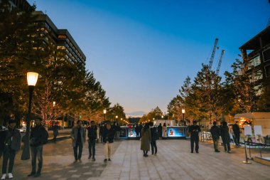 29 Kasım 2023 Marunouchi Bölgesi Gyoko Dori Bulvarı Sonbaharda Tokyo 'da