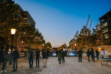 29 Kasım 2023 Marunouchi Bölgesi Gyoko Dori Bulvarı Sonbaharda Tokyo 'da