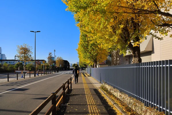 Ueno Park Caddesi 'nin manzarası, 29 Kasım 2023