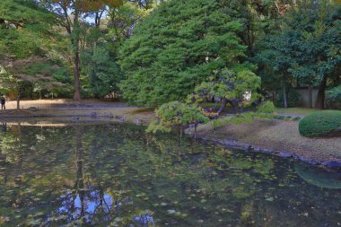 29 Kasım 2023 Koishikawa Korakuen, Japonya manzarası.