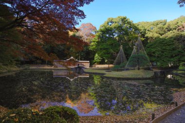 29 Kasım 2023 Koishikawa Korakuen, Japonya manzarası.