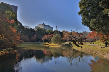29 Kasım 2023 Tokyo 'da Koishikawa Korakuen Bahçesi
