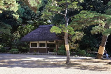 Japonya, Tokyo 'daki Koishikawa Korakuen Bahçesi' nde. 29 Kasım 2023