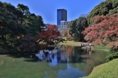29 Kasım 2023 Koishikawa Korakuen Graden, Japon halkı ve turistler