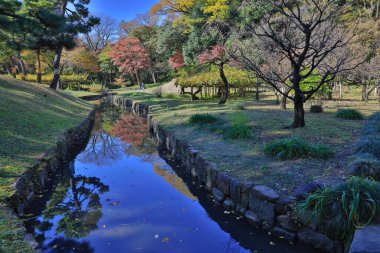 29 Kasım 2023 Akçaağaç ağaçları suya yansıdı, koishikawa korakuen