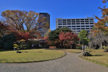 29 Kasım 2023 Koishikawa Korakuen Bahçesinde Yürüyüş Aşıları