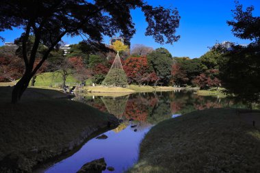 29 Kasım 2023 Koishikawa Korakuen Bahçesi, Okayama, Japonya.