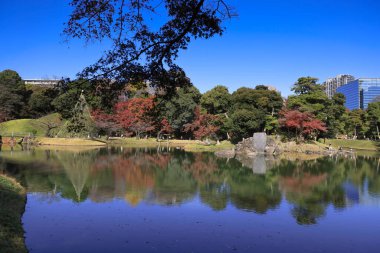 29 Kasım 2023 Koishikawa Korakuen Bahçesi, Okayama, Japonya.