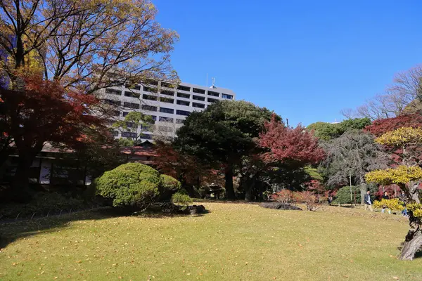 at the Koishikawa Korakuen garden, Okayama, Japan Nov 29 2023