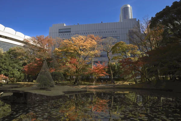 29 Kasım 2023 Koishikawa Korakuen, Japonya manzarası.