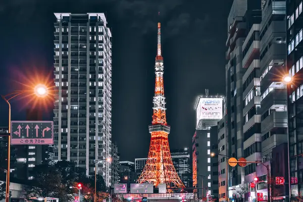 29 Kasım 2023 Tokyo Kulesi ile alacakaranlıkta TOKYO şehir manzarası