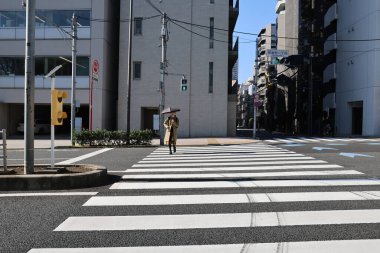 Şehir Metropolisindeki Hayvan Geçidi 28 Kasım 2023