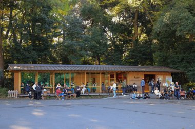 CAFe Mori No Terrace, Ormanda Öğleden Sonra 28 Kasım 2023