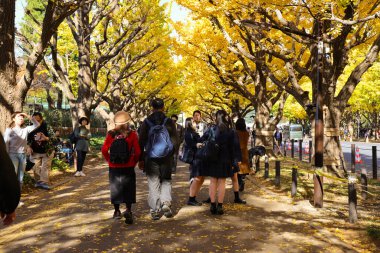 28 Kasım 2023 Bir grup insanın yürüdüğü ormanda renkli bir sonbahar yeşilliği.
