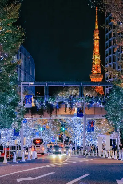 11月28日 六本木ヒルズキーキザカカ 東京のクリスマスイルミネーション — ストック写真