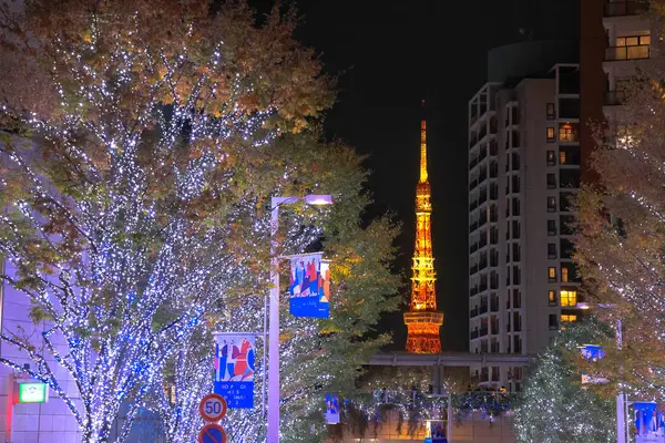 Nov 2023 Exhibición Iluminación Invierno Temporada Navidad Keyakizaka —  Fotos de Stock