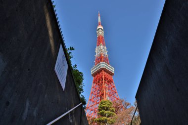 Tokyo şehrinde 28 Kasım 2023 'te yürüyüş yolunun yakınından bakış açısı