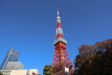 Japonya 'da bir Tokyo Kulesi 28 Kasım 2023