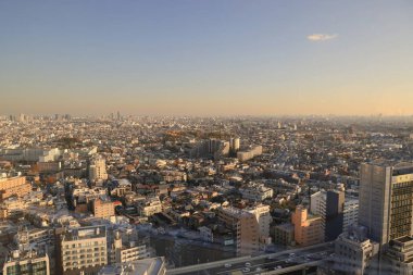28 Kasım 2023 Setagaya ku, Tokyo, Japonya 'da Skyline.