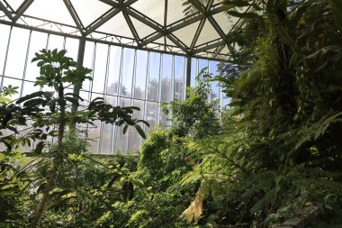 28 Kasım 2023 Tokyo 'da bir Shinjuku Gyo en green house.