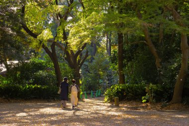 Ormanda Bir Gün: Sonbahar Çiçeği ve Günışığı Yeşilliği 28 Kasım 2023