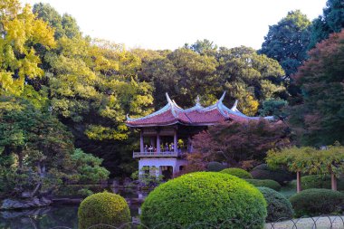 28 Kasım 2023 Shinjuku Gyo en National 'daki Geleneksel Japon Çay Evi