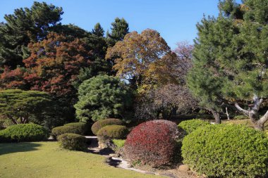 28 Kasım 2023 Renkli sonbahar yaprakları sakin bir göle yansıyor.