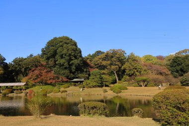 28 Kasım 2023 Shinjuku gyo en in japan manzarası