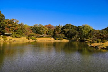 28 Kasım 2023 Renkli sonbahar yaprakları sakin bir göle yansıyor.