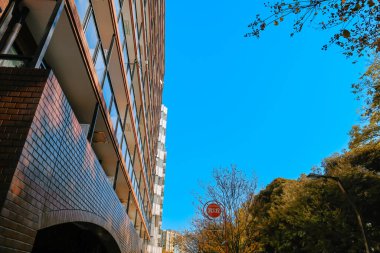 28 Kasım 2023 Gökdelenleri ve Ağaçları Açık Mavi Gökyüzüne Karşı