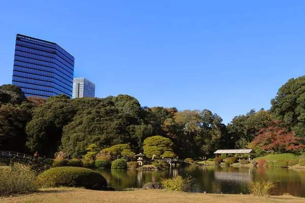 28 Kasım 2023 Shinjuku Gyoen Ulusal Bahçesi, büyük bir park.