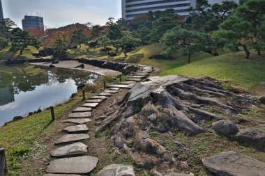 27 Kasım 2023 Kyushibarikyu, Japonya 'daki taş yol.