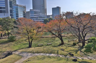 27 Kasım 2023 KyuShibarikyu Zen Bahçesi Hamamatsucho, Tokyo Japonya