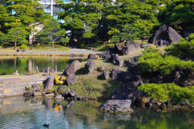 Bir Kyushibarikyu Japon Bahçesi, Zen bahçesi 27 Kasım 2023
