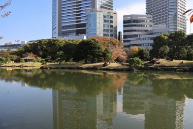 27 Kasım 2023 Kyushibarikyu Japon Bahçesi, Japonya Gölü.