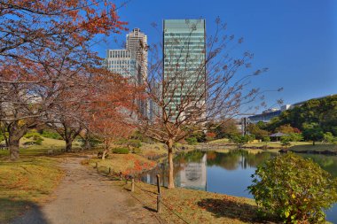 27 Kasım 2023 Kyushibarikyu Japon Bahçesi, Japonya Gölü.