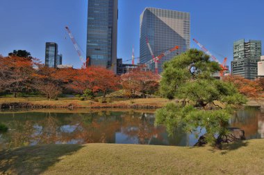 Bir Kyushibarikyu, Tokyo 'daki Zen bahçesi 27 Kasım 2023