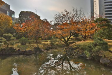 Bir Kyushibarikyu, Tokyo 'daki Zen bahçesi 27 Kasım 2023