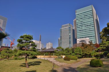 27 Kasım 2023 Kyushibarikyu Japon Bahçesi, Tokyo, Japonya