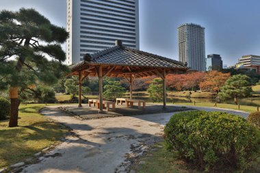 27 Kasım 2023 Şehir merkezinde ağaçlı ve parklı bir gökdelen..