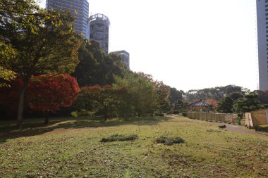 27 Kasım 2023 Kyushibarikyu 'da güzel bir yürüyüş yaptı.