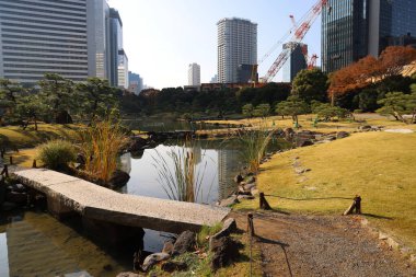 27 Kasım 2023 Hamamatsucho, Japonya 'daki KyuShibarikyu Zen Bahçesi.